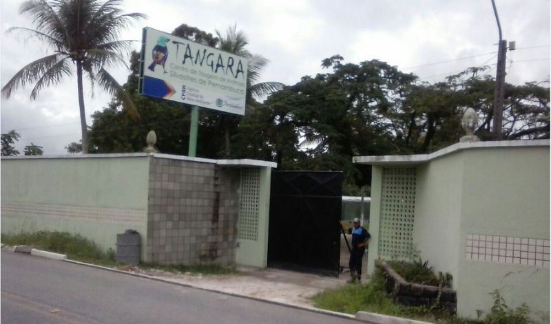 O Cetas Tangará receberá uma visita técnica dos participantes