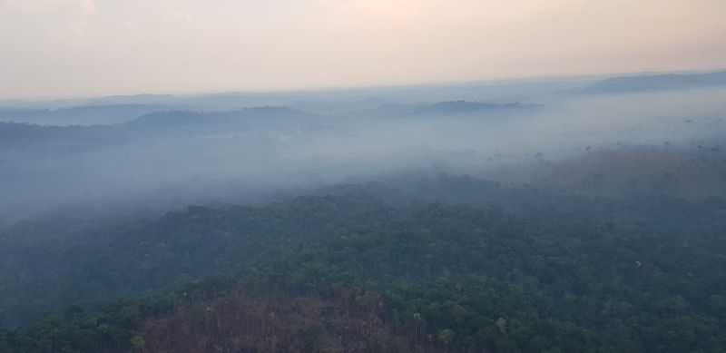 Queimadas acontecem todos os anos na Amazônia. Mas não é algo normal