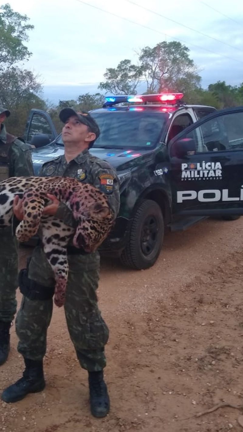 A foto foi feita por policial do próprio Batalhão de Polícia Militar de Proteção Ambiental do Mato Grosso