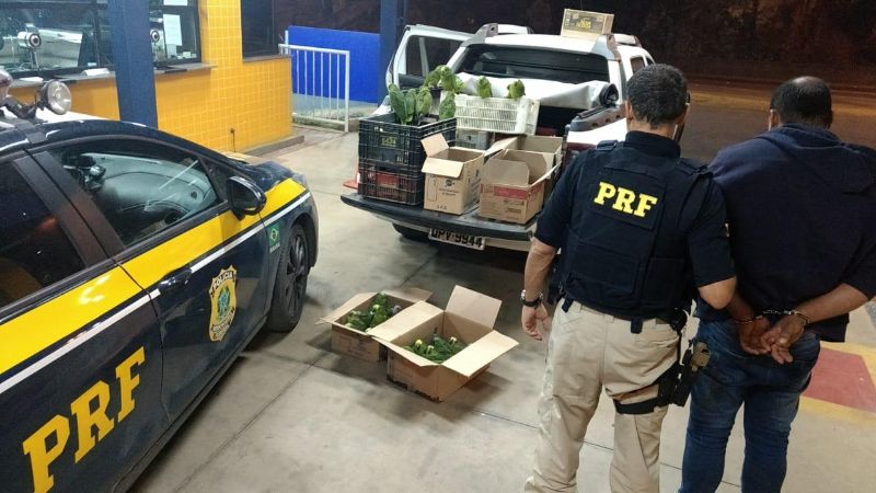 Policial com infrator detido pela quarta vez traficando animais