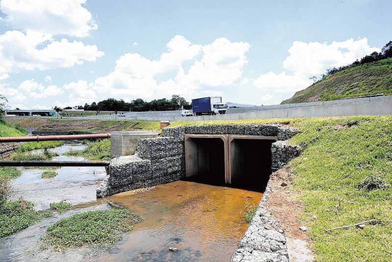 Passagens de fauna sozinhas podem não ser eficientes