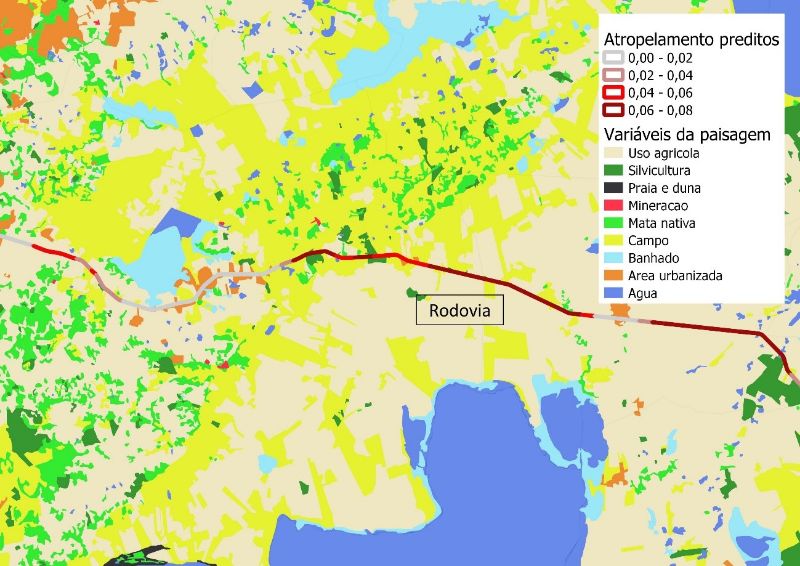 Mapa de preditivo de atropelamento para uma espécie campestre fictícia