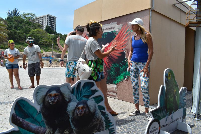 No Rio de Janeiro, instalação foi montada em outubro