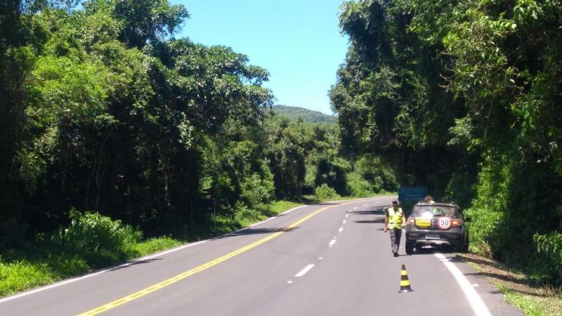 Pesquisadores realizando monitoramento de fauna atropelada em rodovia na serra gaúcha