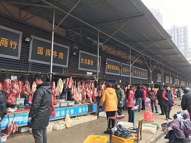 Mercado de carne de diversos tipos de animais, inclusive silvestres, em Wuhan, China