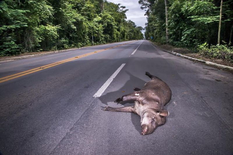 É a quarta morte em oito meses