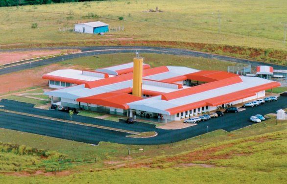 Hospital atende cerca de 400 silvestres por ano