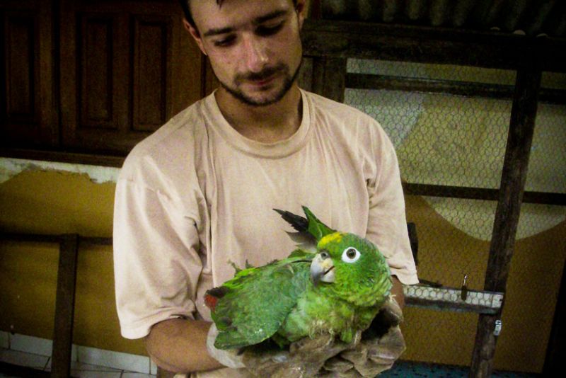 Foto: Vandré Fonseca Laérzio com papagaio resgatado do tráfico