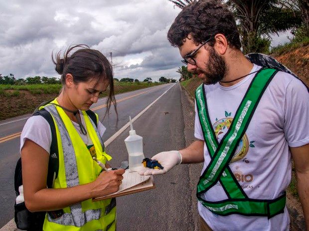 Estudantes de Biologia recolhendo e identificando os animais atropelados