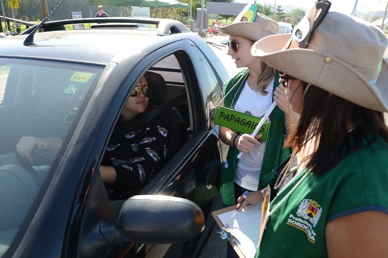 Ação pretende reduzir atropelamentos de animais silvestres