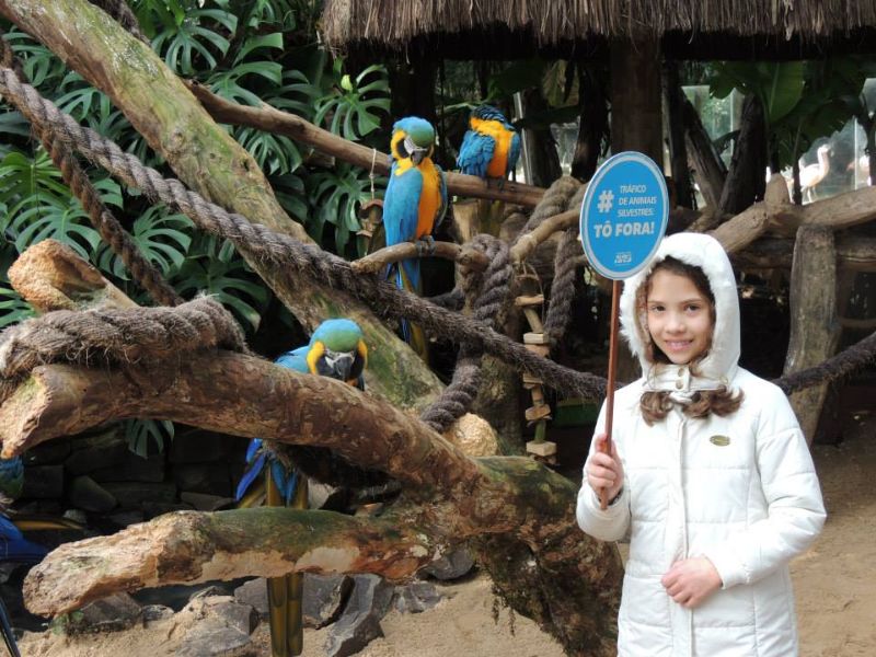 Foto: divulgação Parque das Aves Campanha pretende sensibilizar os visitantes