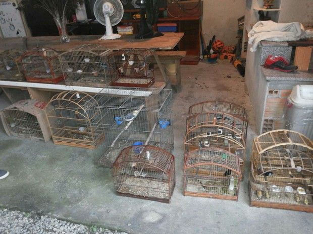 Foto: divulgação PM/SC Ninguém foi preso na ação