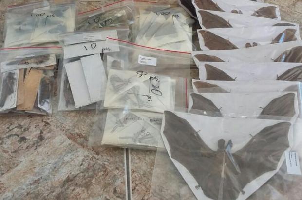 O argentino é biólogo e professor universitário