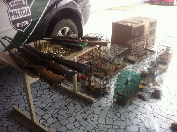 Animais e armas apreendidos com suspeito