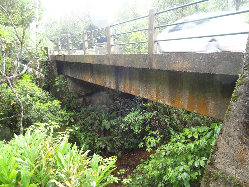 Ponte na Rodovia Neguinho Fogaça (SP-139) que atravessa o Parque Estadual Carlos Botelho em São Paulo