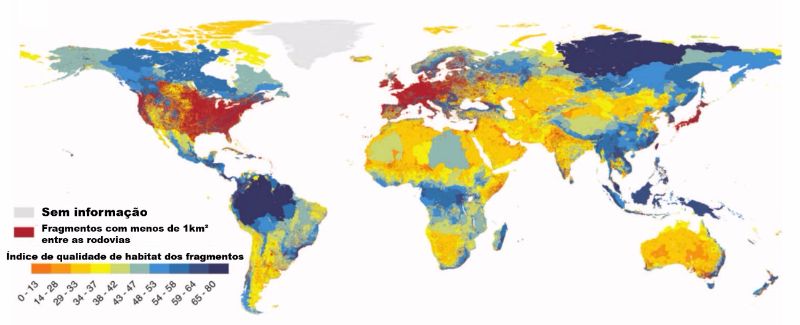 Mapa global das áreas sem rodovias. Cada fragmento está classificado segundo uma escala de qualidade do habitat. Pior qualidade: cor laranja, melhor qualidade: cor azul
