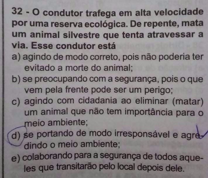 Foto do material didático 