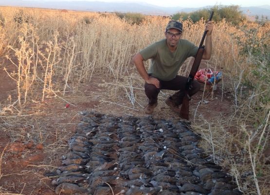 É esse tipo de imagem que queremos ver no Brasil? Dezenas de aves mortas por um só caçador. Por diversão.