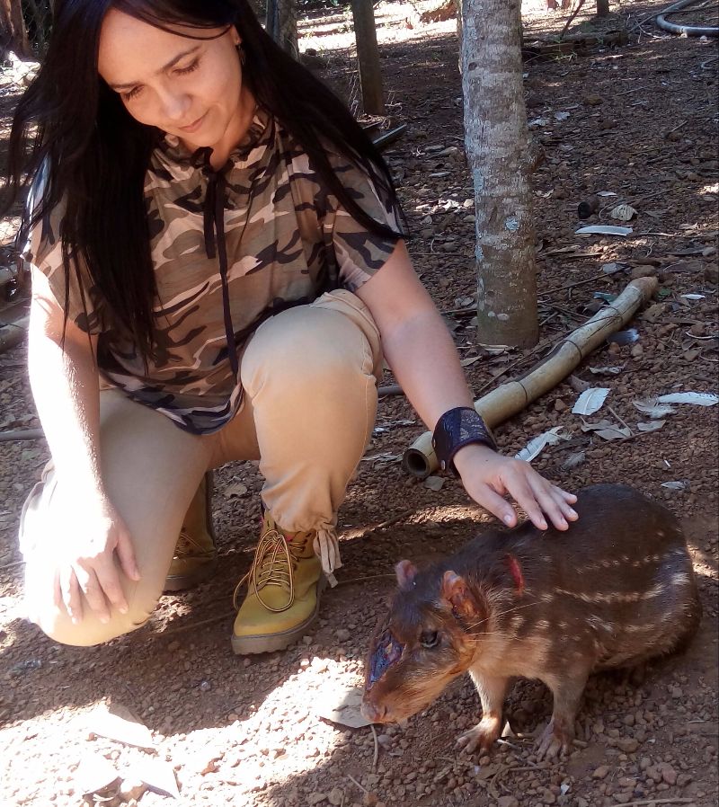 Elisângela montou um centro para receber animais resgatados em Anápolis (GO)