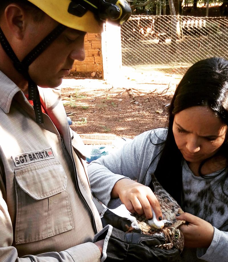 O Cevas receberá somente animais levados pelos bombeiros