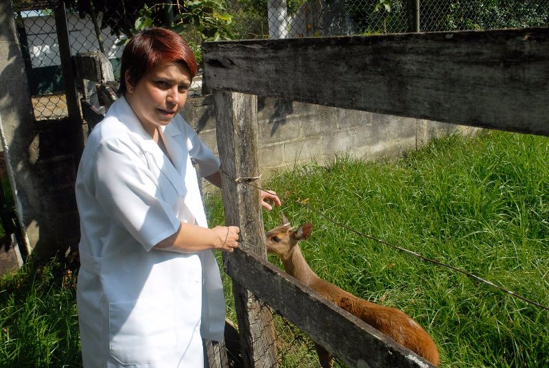 Karla Andressa Ruiz Lopes, responsável técnica pelo Cras