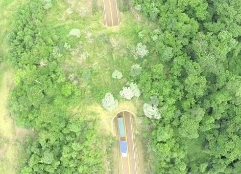 Imagem aérea do ecoduto de Missiones. Talvez eles sejam uma das poucas esperanças para espécies que evitam a travessia de estradas 