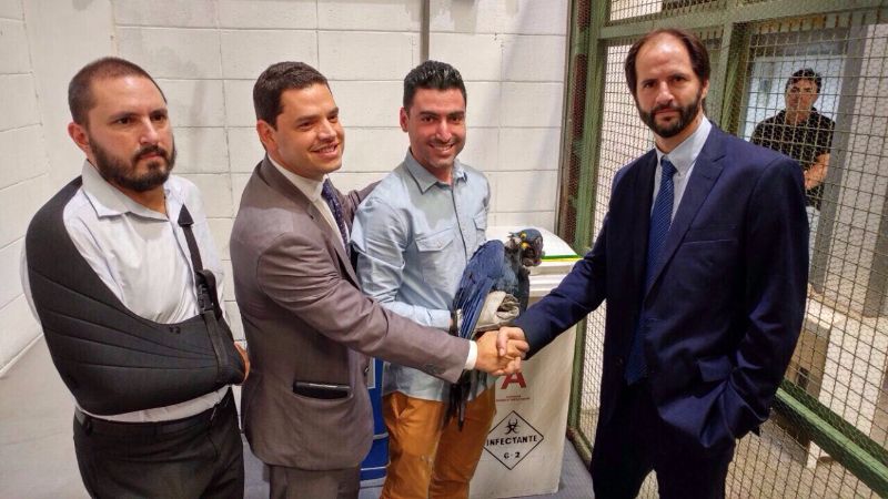 Rrepresenates do governo brasileiro e argentino no momento da entrega da arara, ainda no aeroporto