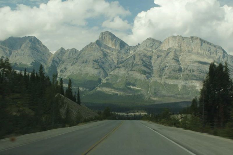 Highway 1 nas montanhas rochosas canadenses, região que atrai muitos ursos pardos.