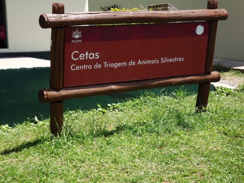Cetas da PUC-PR está fechado e o Estado do Paraná não tem estrutura para receber animais silvestres