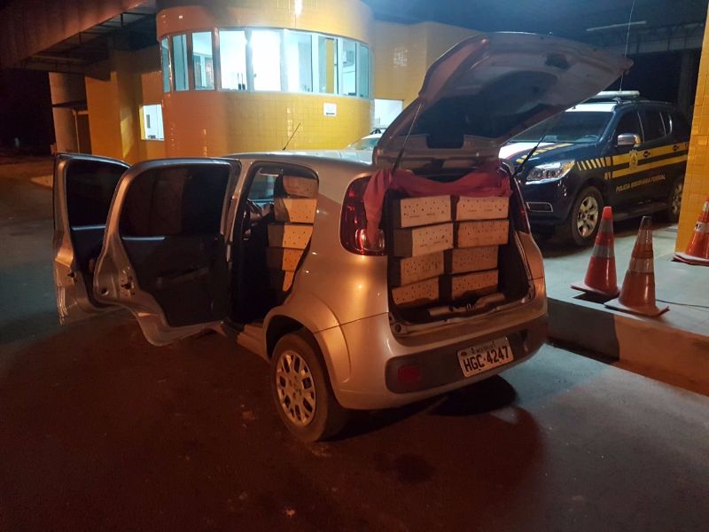2.641 aves estavam amontoadas nesse veídulo