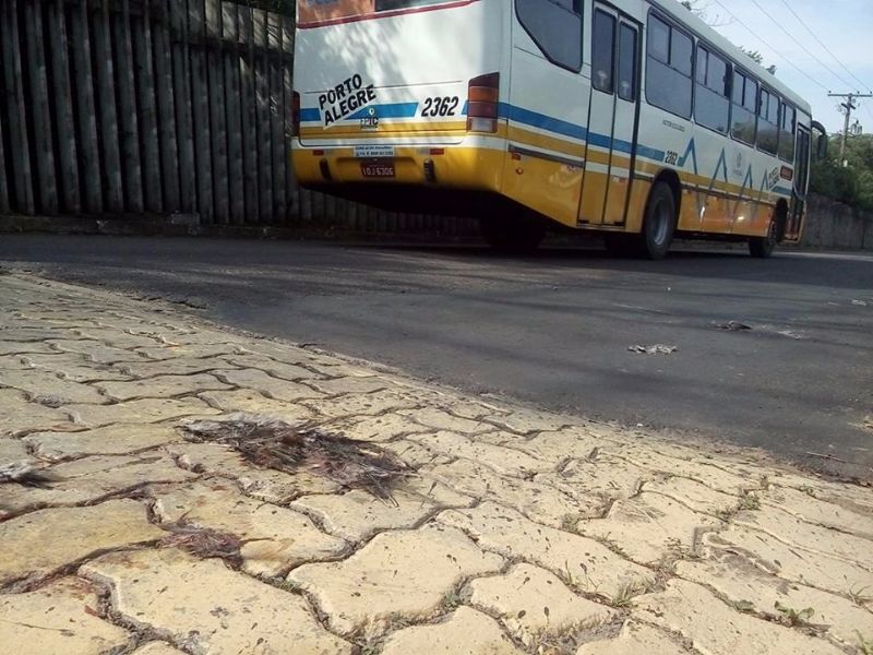Ave atropelada sobre redutor de velocidade