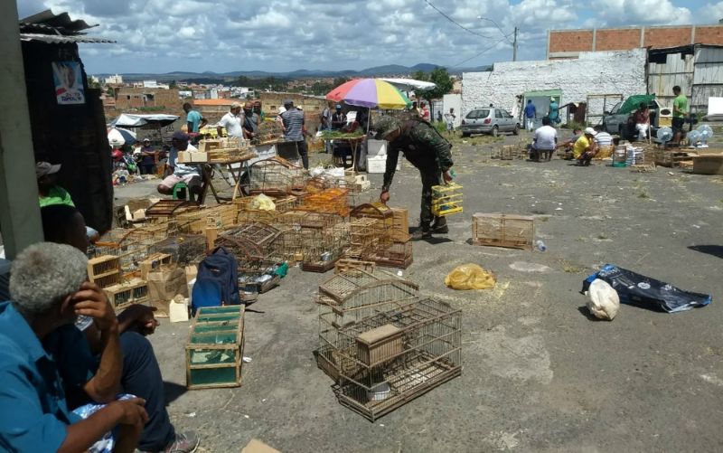 Feira de Santana (BA) é um tradicional centro de tráfico de animais do Nordeste