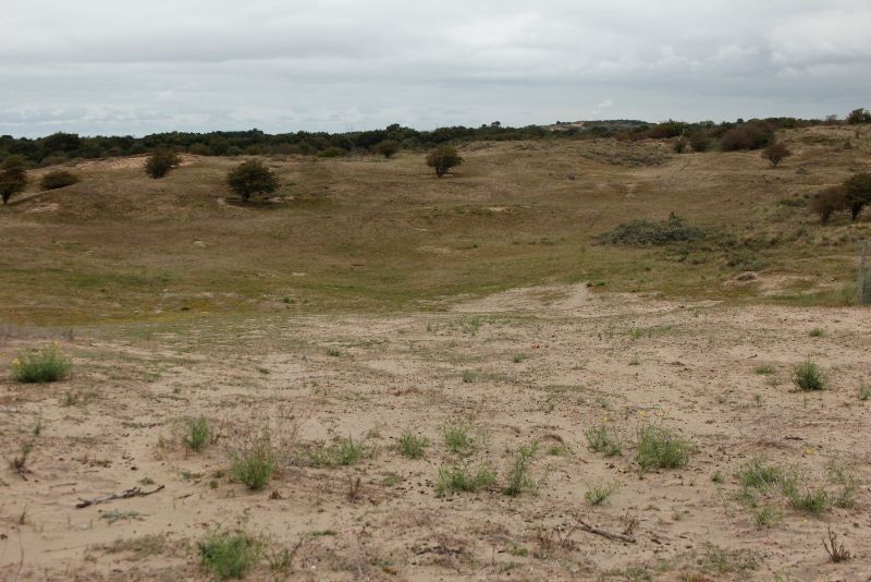 Região de dunas no Parque Zuid-Kennemerland
