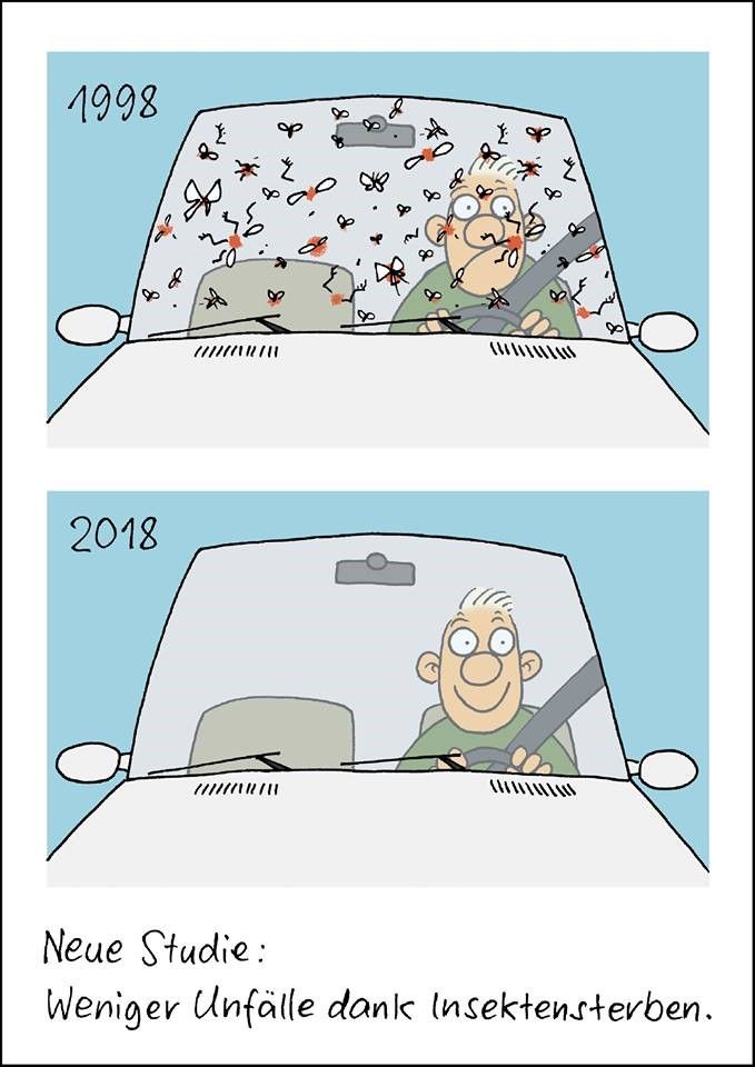 A frase irônica em alemão: Novo estudo: menos acidentes de carro por causa das mortes de insetos.