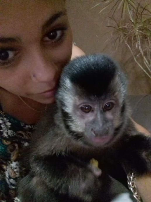 Fabiola mostrando macaco em foto do Facebook