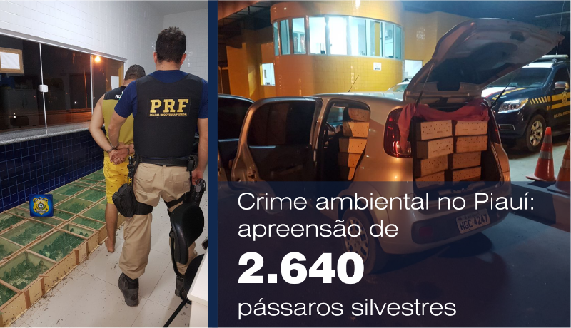 O tráfico de animais envolve mais do que o previsto na Lei de Crimes Ambientais