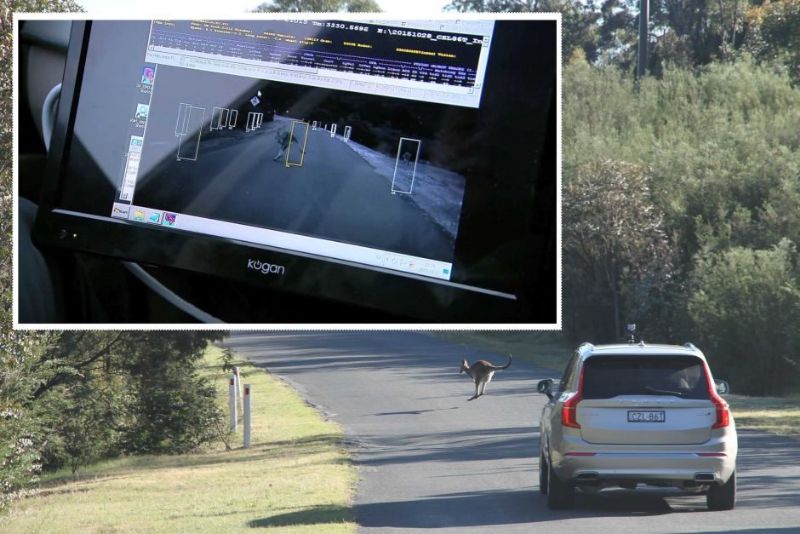 Foto: www.abc.net.au Sistema de detecção animal de veículo autônomo