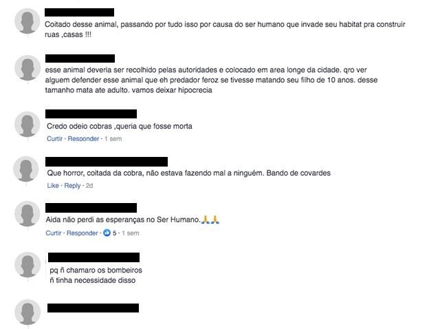Comentários feitos por internautas em diferentes reportagens sobre as duas travessias das sucuris