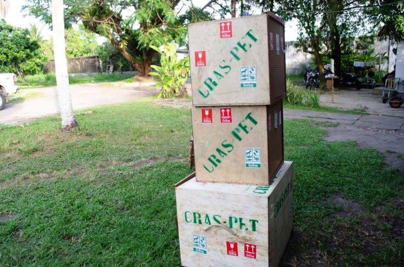 Caixas de transporte utilizadas na viagem entre SP e PE