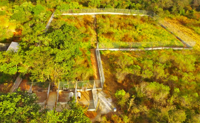 Área preparada para a reabilitação de lobos-guarás da Associação Mata Ciliar