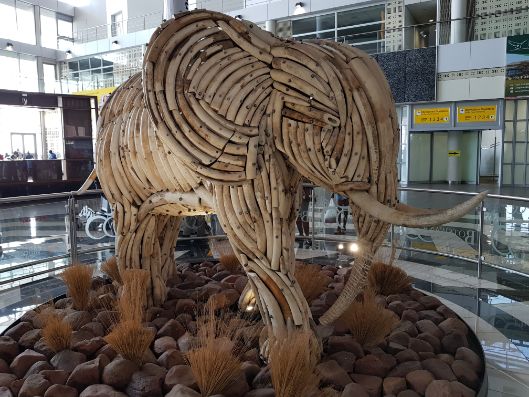 Elefante feito de marfim exposto no aeroporto de Gaborone, em Botsuana, é um alerta aos turistas sobre a caça