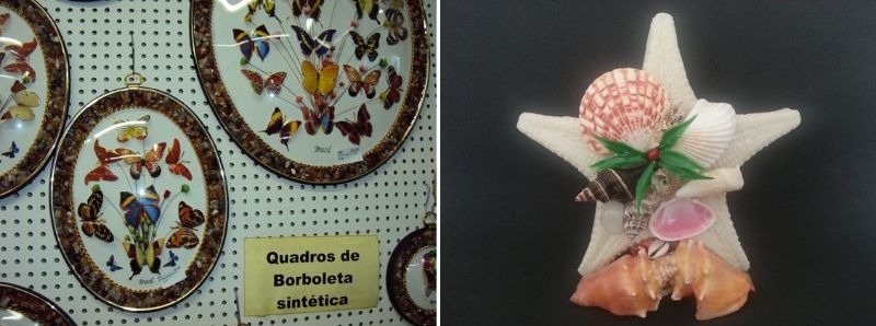 Quadro de borboletas sintéticas (decalques que reproduzem borboletas reais) e estrela-do-mar esculpida em resina